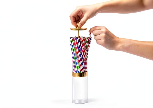 Acrylic Straw Holder with Bamboo Lid by VEGEVIGI – Clear 9″ Dispenser-2